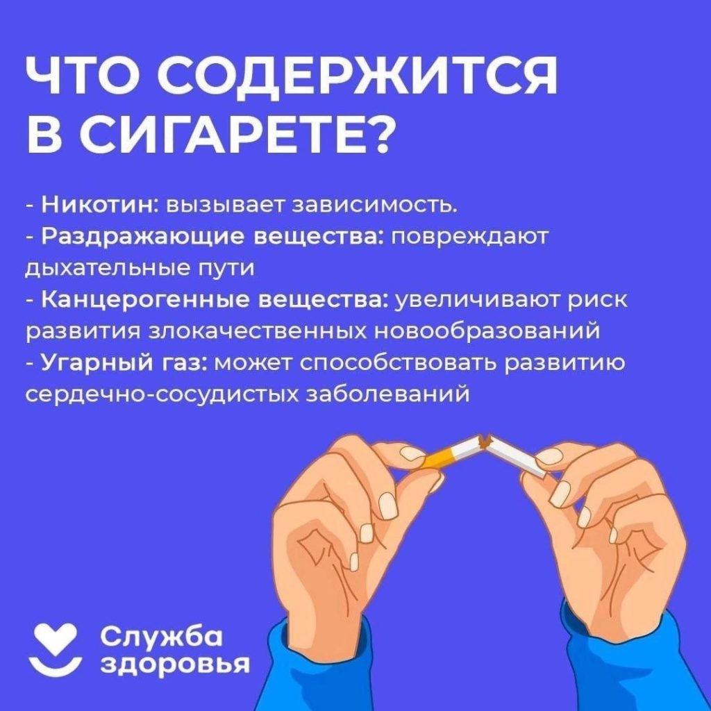 iQIWY6kq1rE